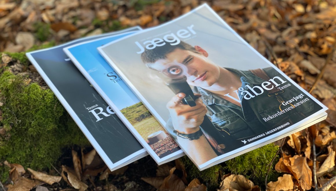 GigantPrint - The hunt is on for a magazine redesign